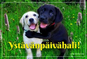 Ystävänpäiväkortti netistä - Ystävänpäivä