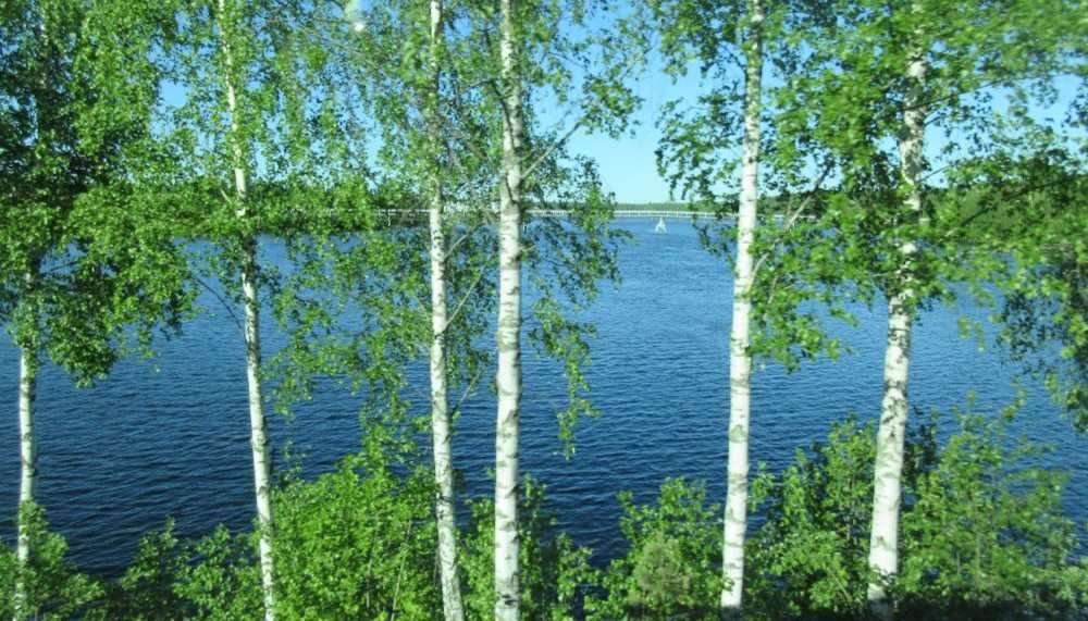 Juhannuksen perinteet
